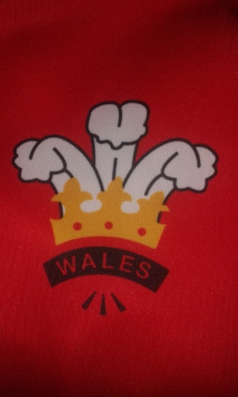 6 Nations Oddballs Wales
