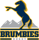 rugby brumbies logo