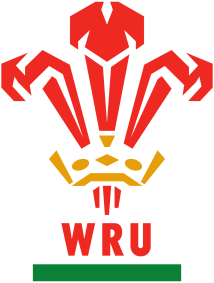 rugby wales crest no background